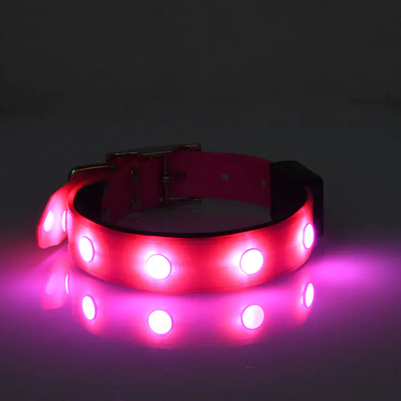Collier lumineux et étanche réglable pour animaux de compagnie