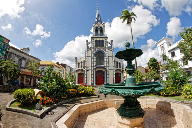 Car rental in « MARTINIQUE ISLAND🇲🇶 »🎣🤿🧘♂️🏝️🌋🏨