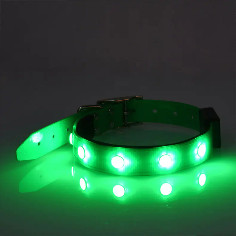 Collier lumineux et étanche réglable pour animaux de compagnie