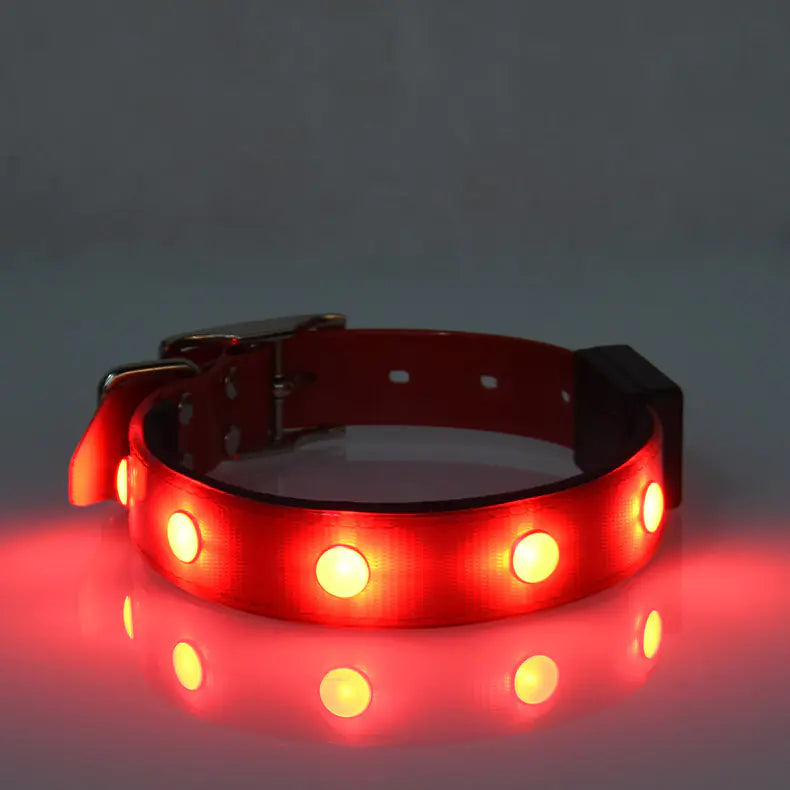 Collier lumineux et étanche réglable pour animaux de compagnie