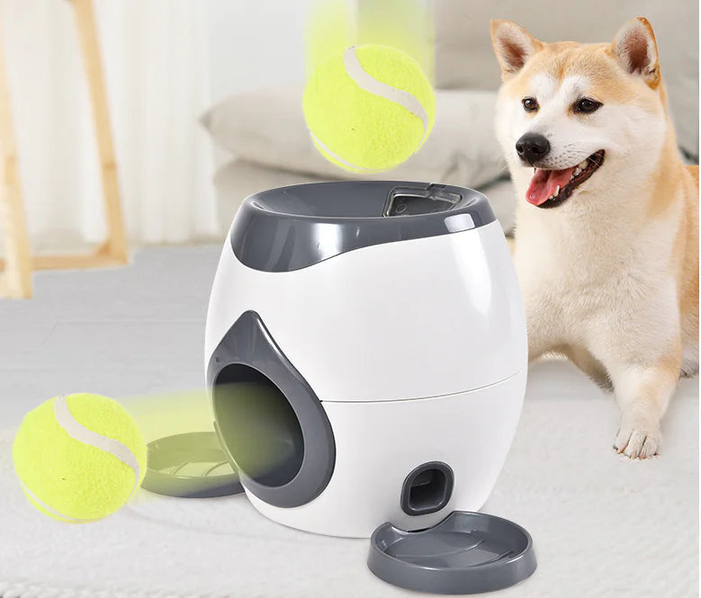 Pet Supplies