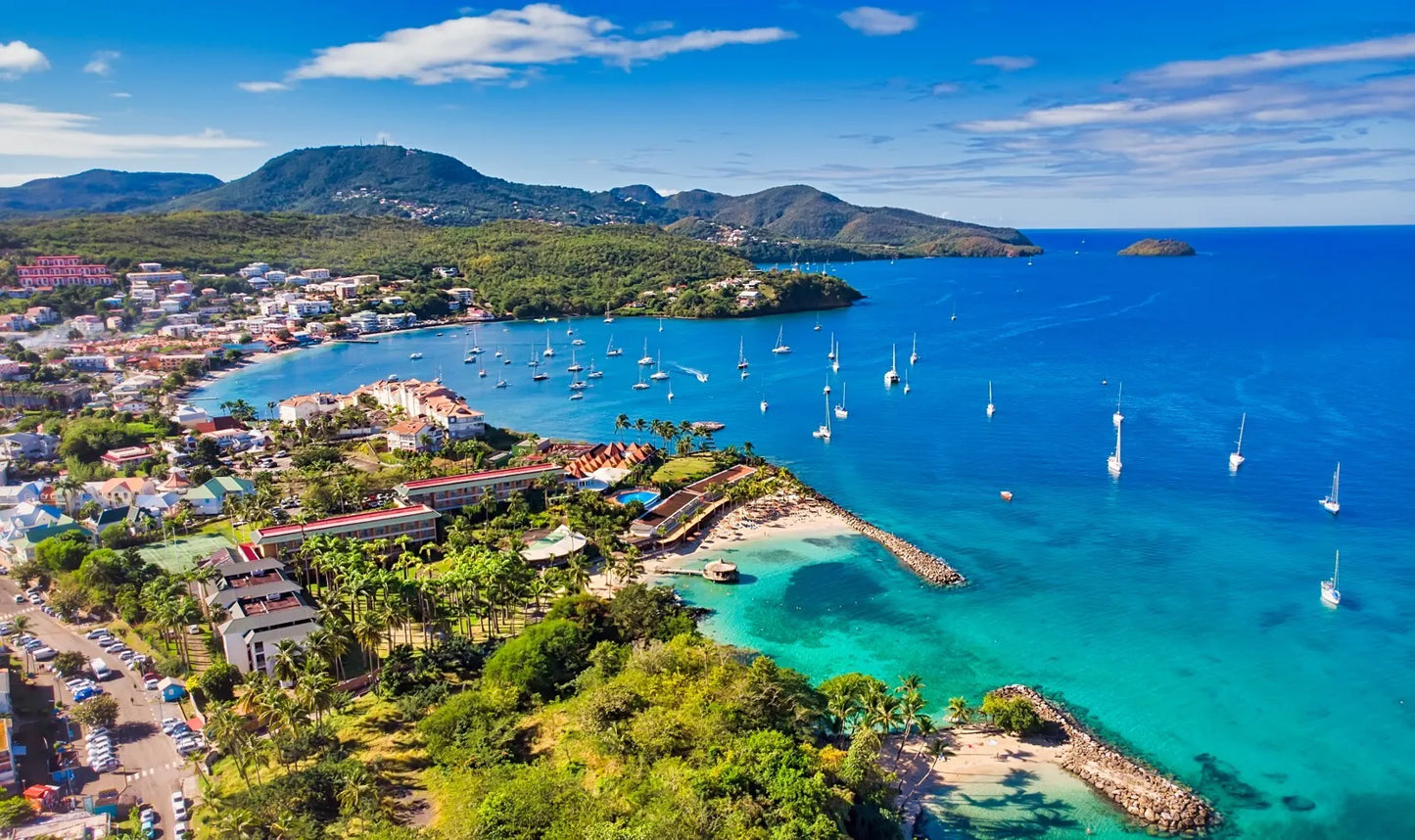 Car rental in « MARTINIQUE ISLAND🇲🇶 »🎣🤿🧘‍♂️🏝️🌋🏨