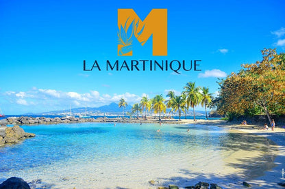 Car rental in « MARTINIQUE ISLAND🇲🇶 »🎣🤿🧘‍♂️🏝️🌋🏨