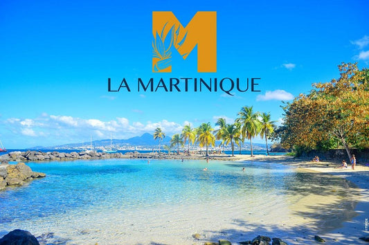 Car rental in « MARTINIQUE ISLAND🇲🇶 »🎣🤿🧘‍♂️🏝️🌋🏨