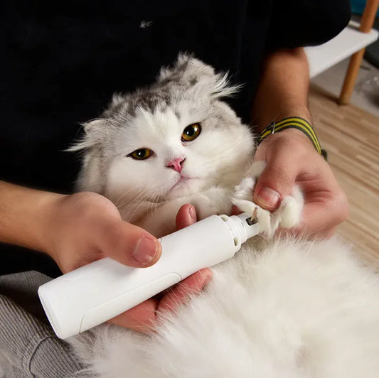 Coupe-ongles, produits de toilettage et de nettoyage pour animaux de compagnie