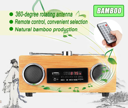 Bluetooth Radio and Speaker System