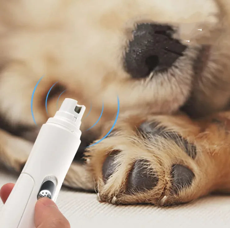 Coupe-ongles, produits de toilettage et de nettoyage pour animaux de compagnie